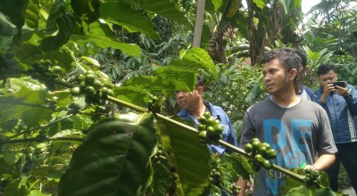 Lilik Budi Bagikan Tips Sukses Budidaya Kopi di Dataran Rendah Bojonegoro