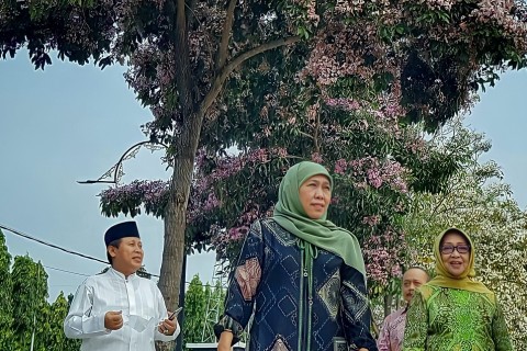 Gubernur Jatim Nikmati Eksotisme Tabebuya di Alun-Alun Jombang