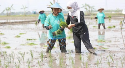 Nilai Tukar Petani Jatim Naik, Gubernur Khofifah Berharap Bisa Ditingkatkan