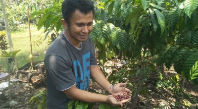 Sempat Diragukan, Lilik Budi Sukses Budidaya Kopi di Bojonegoro