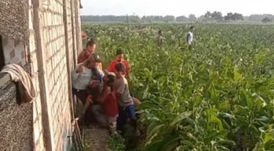 Kesaksian Warga saat Rombongan Pesilat Lakukan Penyerangan di Kabuh, Jombang