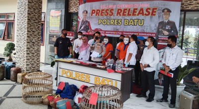 Bandar Judi Sabung Ayam di Malang Diringkus
