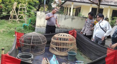Arena Sabung Ayam Situbondo Digerebek Polisi, Pejudi Kalang Kabut