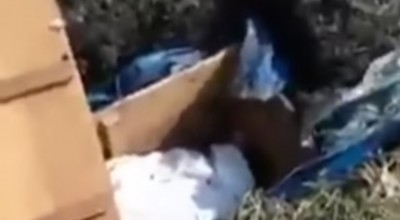 Makam Warga Lamongan Dibongkar, Tali Pocong Hilang, Meninggal Hari Jumat