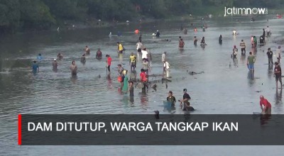 Video: Dam Balongsono Sumobito Ditutup, Warga Tangkap Ikan