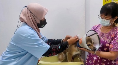 Mau Vaksin Anti-Rabies Hewan Peliharaanmu Gratis? Ini Tempatnya