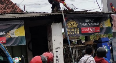 Monyet yang Menyerang Permukiman Warga Mati Kesetrum
