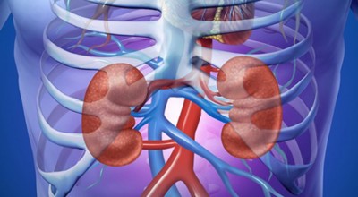 Cegah dan Bantu Sembuhkan Gagal Ginjal Akut dengan Probiotik Multistrain