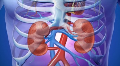 Tips Menghindari Risiko Gagal Ginjal, Mau Coba?