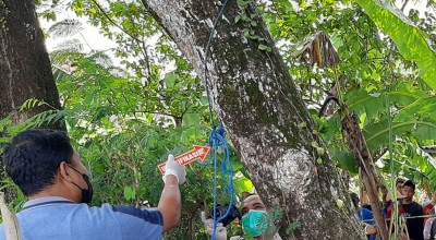 Pria Pendiam asal Bojonegoro Gantung Diri di Belakang Rumah