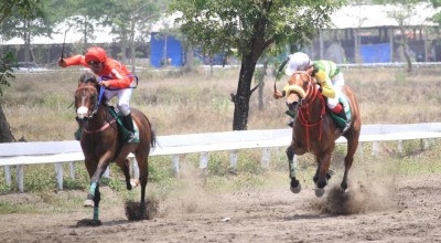 12 Provinsi Ramaikan Kejurnas Pacuan Kuda Seri II Piala Presiden di Pasuruan
