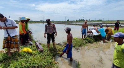 Petani Lamongan Tewas Misterius di Pematang Sawah