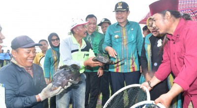 Budidaya Kerapu Lamongan Hasilkan Ratusan Miliar Per Tahun