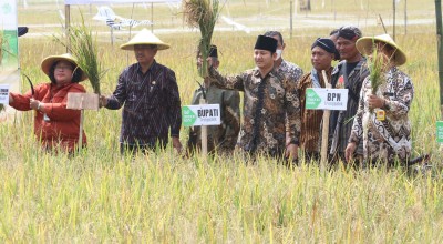 Bangganya Mas Ipin saat Petani di Trenggalek Sukses Panen Raya