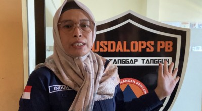 BPBD Siaga 24 Jam untuk Waspadai Pohon Tumbang Saat Pancaroba