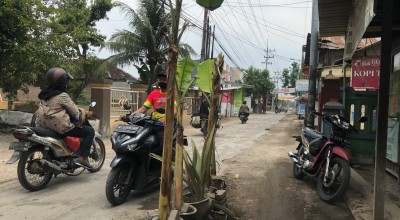 Warga Tanami Jalan Rusak dengan Pohon Pisang Sebagai Bentuk Protes