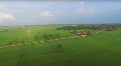 Begini Progres Pengembangan Lumbung Pangan dari Sumatera Hingga Papua