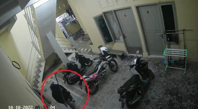 Maling Pincang Curi Motor di Kos, Diduga Beraksi Beberapa Kali