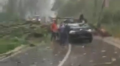 Pohon Tumbang Timpa Mobil dan Motor Tewaskan 1 Orang