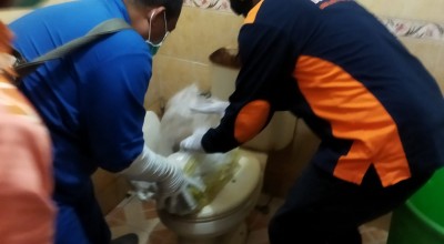 Mayat Bayi Ditemukan di Toilet Dispendikpora Tulungagung
