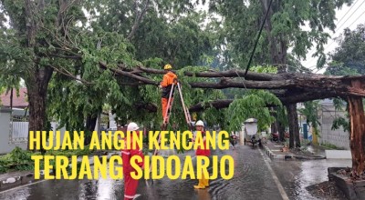 Video: Hujan Angin Kencang Terjang Sidoarjo