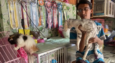 Berkat Anabul, Pria di Ponorogo Dapatkan Pasangan Hingga Cuan