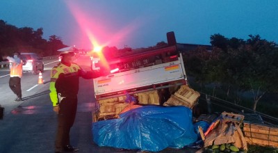 Mobil Granmax Terbalik di Tol Jombang-Mojokerto, Muatan Mangga Tumpah ke Jalan