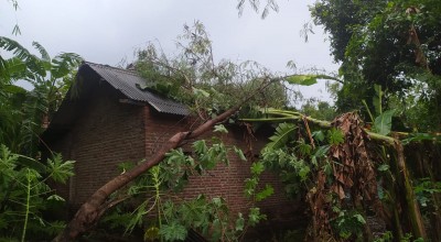 Hujan Es Disertai Angin Kencang Terjang Jombang, Rusak Rumah hingga Sekolah