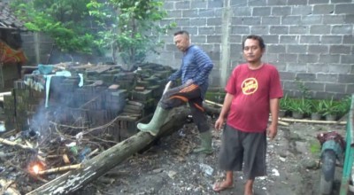 Guru Ngaji di Jombang Tewas Tertimpa Pohon