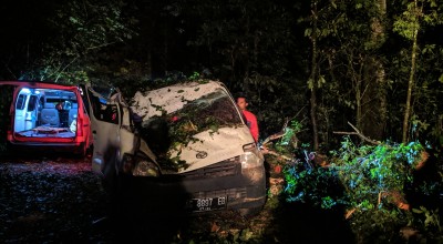 Pohon Tumbang Timpa 2 Mobil di Sendi Mojokerto, Satu Tewas