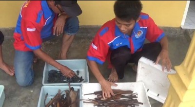 Pemuda Jombang Hasilkan Cuan Puluhan Juta dari Lobster Air Tawar