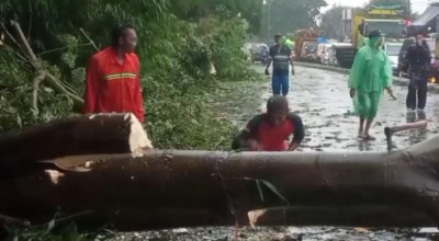 23 Rumah Rusak Diterjang Puting Beliung di Pasuruan
