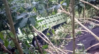 Ya Allah! Truk Pasir Masuk Jurang, Begini Nasib Sopirnya