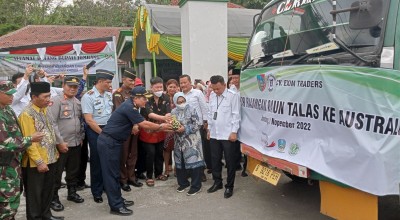 Keren! Jombang Ekspor Perdana Daun Talas ke Australia