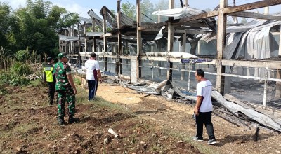 33 Ribu Ayam Terpanggang, Buruh Tewas, Dipicu Cekcok Dalam Hotel