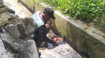 Air Irigasi di Lamongan Diduga Tercemar Limbah, Petani Resah