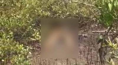 Mayat Misterius Ditemukan di Hutan Mangrove Sampang