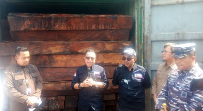 KLHK Gagalkan Penyelundupan 57 Kontainer Kayu Merbau asal Papua