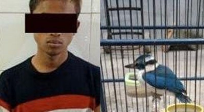 Ketagihan Miras, Dua Remaja di Surabaya Nekat Curi Burung Jalak