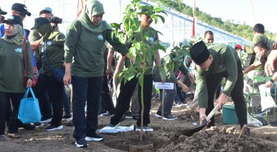 Khofifah dan Mas Ipin Hijaukan Lahan Bekas Tambang