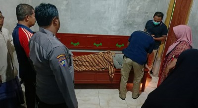 Berteduh saat Hujan Deras, Petani Tewas Tertimpa Dahan Pohon Randu