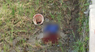 Penemuan Jasad Bayi Terbungkus Tas Biru di Sawah Gegerkan Warga Buduran