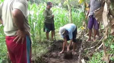 Situs Majapahit, Isu Penculikan Anak, Hukum Sebar Hoaks