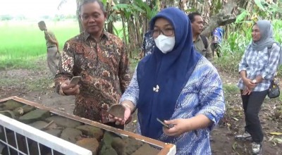 Pondasi Diduga Situs Peninggalan Majapahit Ditemukan di Jombang