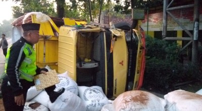 Sopir Tiba-tiba Hilang Kendali, Truk Muatan Serbuk Kayu Tabrak Pohon di Jombang