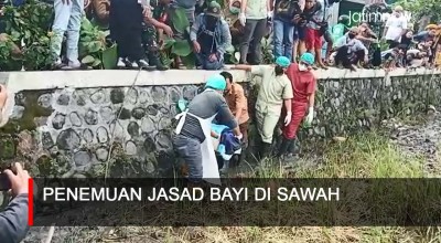 Video: Penemuan Jasad Bayi Terbungkus Tas Biru di Sawah