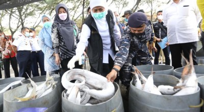 Produksi Ikan Tangkap dan Ekspor Jatim Tertinggi Nasional