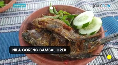 Video: Maknyus, Nikmatnya Nila Goreng Sambal Orek di Lamongan