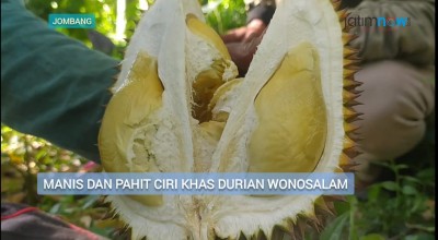 Pahit Manis Cita Rasa Khas Durian Wonosalam