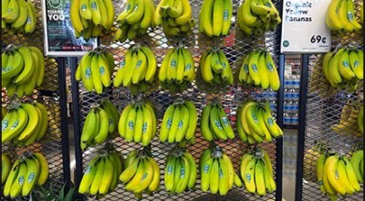 Tips Menjaga Pisang Awet Tanpa Pengawet